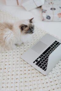 Read more about the article How to Find Writing Jobs Through Networking and Referrals