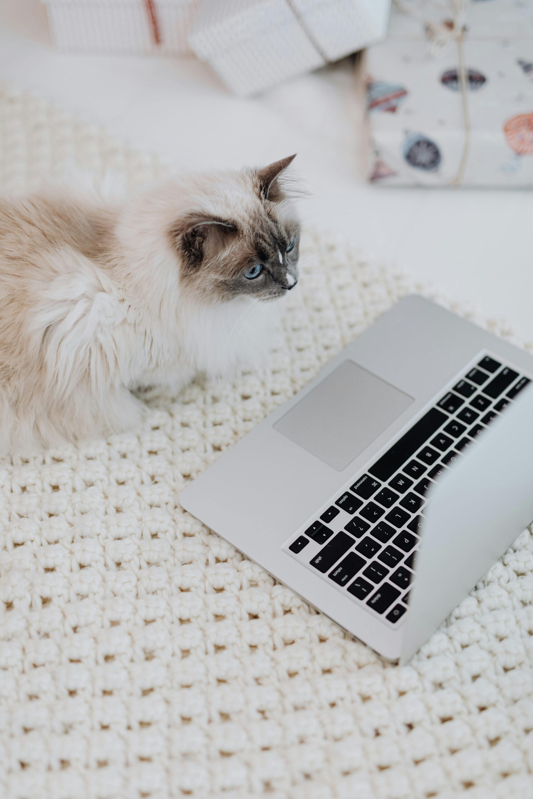 Read more about the article How to Find Writing Jobs Through Networking and Referrals